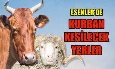 ESENLER KURBANA HAZIR