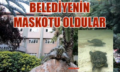 BELEDİYENİN MASKOTU OLDULAR
