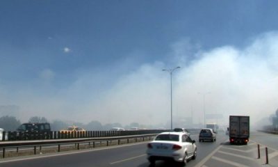 YOL KENARINDA ”MANGALCILAR YANGIN ÇIKARDI”